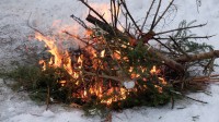 Kolmekuningapäeva pidamine 7.01.2019
