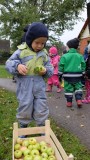 Õunamahla pressimine 3.10.2018